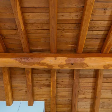 Villa Molara - By Searly Punta Molara