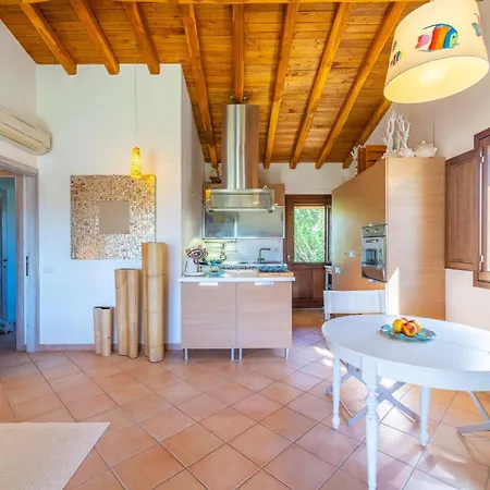 Molara - By Searly *