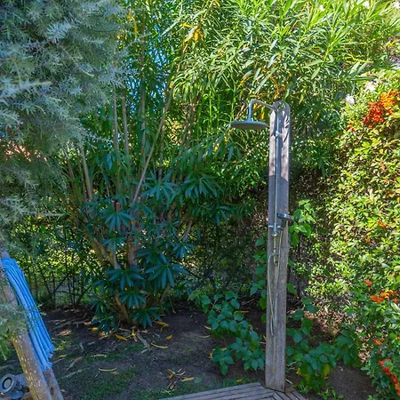 Molara - By Searly *